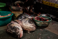 Heads of bigger fish are kept separately to be sold. Fish heads are used in specific recipes that are considered a delicacy. India, 2021. S. Chakrabarti / We Animals