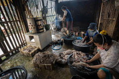 Workers process the carcasses of dead ducks inside a small scale slaughterhouse. Indonesia, 2021. Haig / Act for Farmed Animals / We Animals