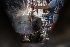 A worker pulls a dead duck from a pot filled with boiling water at a slaughterhouse.  Indonesia, 2021. Haig / Act for Farmed Animals / We Animals