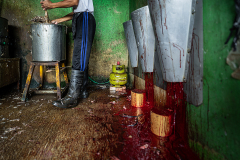 The blood of slaughtered ducks drips down a wall into a bowl at a small slaughtering shop at an Indonesian wet market. Indonesia, 2021. Haig / Act for Farmed Animals / We Animals