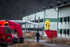 Workers wearing protective suits stand on top of a dumpster outside the barns at an egg farm near Prague in Czechia. The workers are at the farm to kill and remove the hens from the farm, where an outbreak of the H5N1 bird flu virus has been detected. Czechia, 2021. Lukas Vincour / Zvířata Nejíme / We Animals