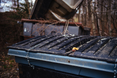 The severed foot of a Pekin duck sits atop the lid of a dumpster a few hundred meters from the barns at a Brome Lake Ducks facility in Racine, Quebec. Canada, 2022. Victoria de Martigny / We Animals