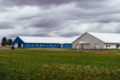 Two enormous barns housing thousands of Pekin ducks sit in a field in Racine, Quebec. Canada, 2022. Victoria de Martigny / We Animals