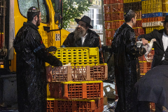 Hasidic Jewish men converse next to an open crate of chickens in front of transport trucks. USA, 2022. Molly Condit / We Animals
