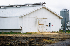 A hose hangs from the back of a barn at Brome Lake Ducks' Lac-Brome facility in Quebec. Canada, 2022. Victoria de Martigny / We Animals