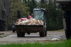 A tractor carries a load of dead turkeys infected with H5N1 out from the shed where they were killed during a disposal operation at a farm with an avian influenza outbreak. UK, 2022. Ed Shephard / Generation Vegan / We Animals