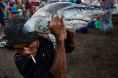 A fisherman carries a shark at a market in Lombok, one of the largest exporters of shark fin to China. Indonesia, 2013. Paul Hilton / Earth Tree Images / HIDDEN / We Animals