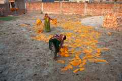 Two women gather dried hides at sundown. In Hazaribagh, the quarter of Dhaka which is known for its tanneries, many families depend on leftover hides from large companies to independently use or sell them.