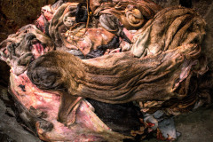 Freshly skinned hides lie in a pile at a leather distributor in Lalbagh, in the centre of Dhaka, the capital city of Bangladesh.