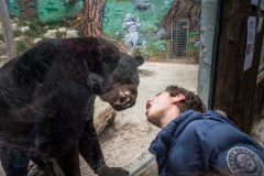 Child making faces at a  jaguar. France, 2016.