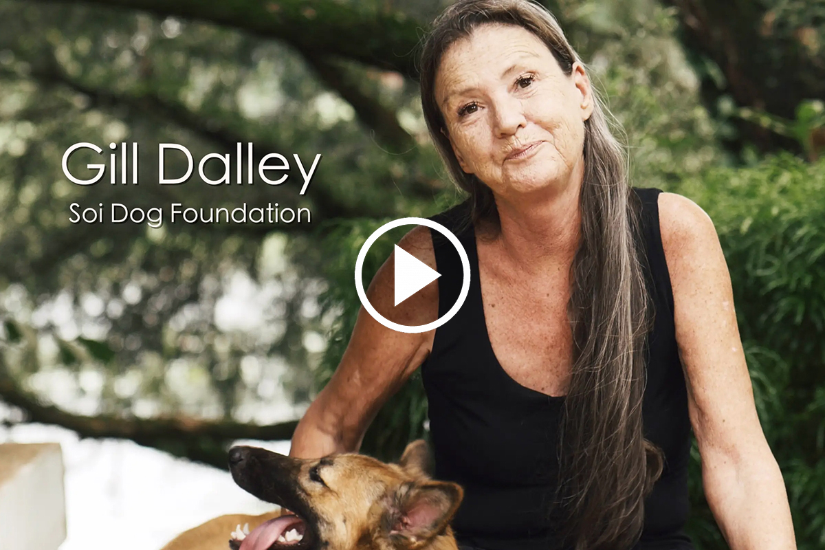 Gill Dalley Soi Dog Foundation Unbound Project