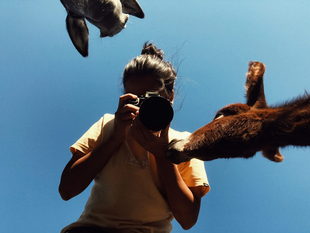 Havva Zorlu’s 2023 Animal Photojournalism Fellowship