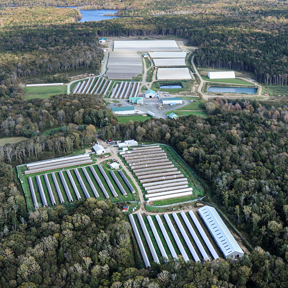 Aerial view of a fur farm in Nova Scotia. Canada, 2014. Jo-Anne McArthur / #MakeFurHistory / We Animals