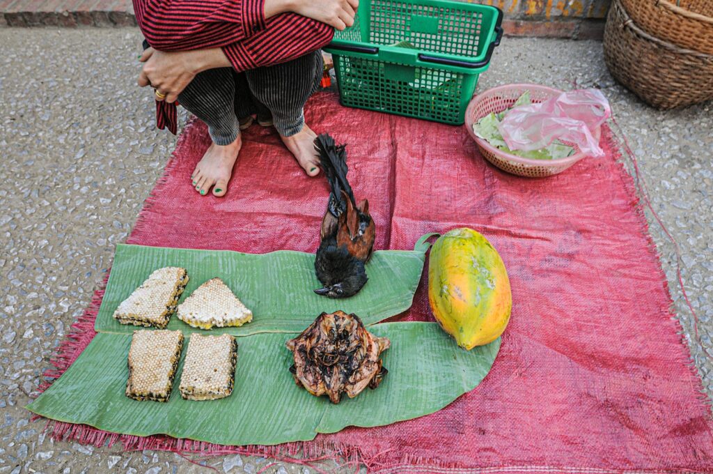 An Inside Look at Asian Wet Markets