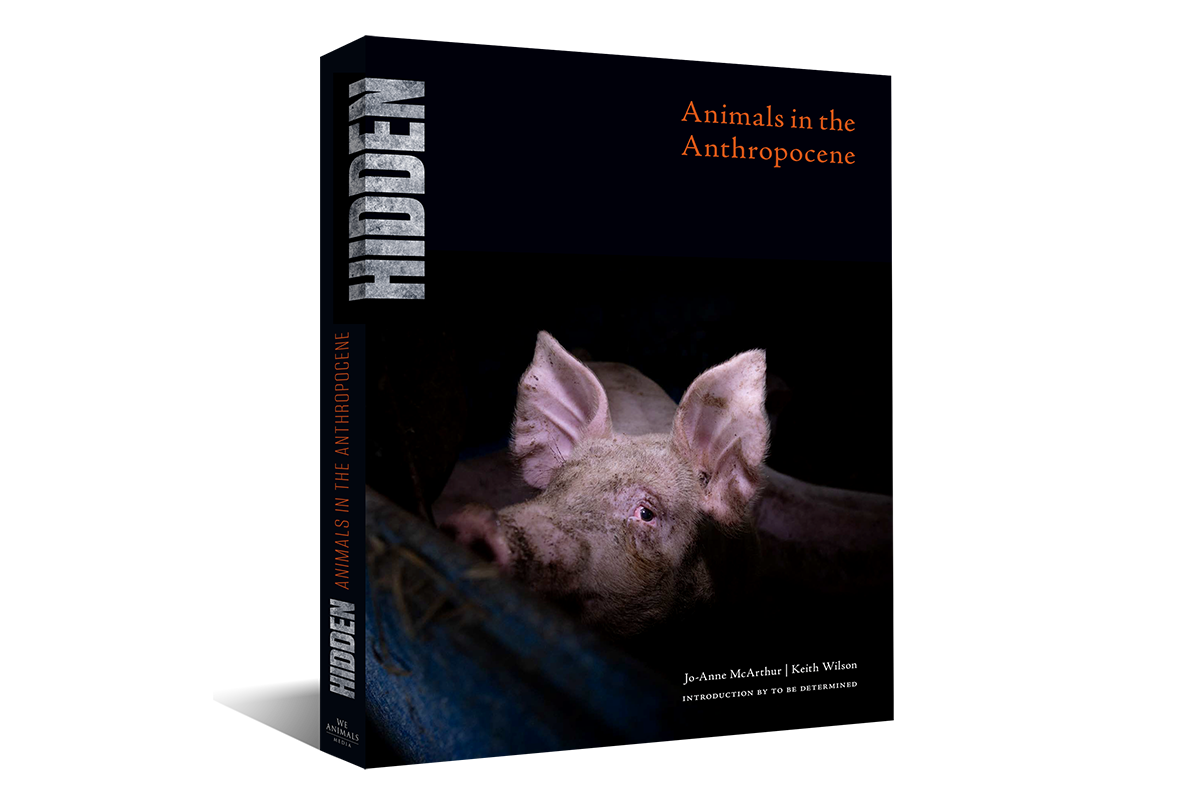 HIDDEN: Animals in the Anthropocene (We Animals, 2020)