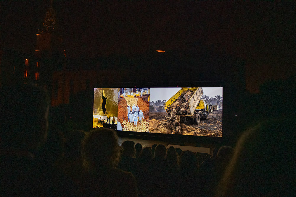 Perpignan festival attendees watch images from HIDDEN projected onto a big screen. Jo-Anne McArthur / We Animals