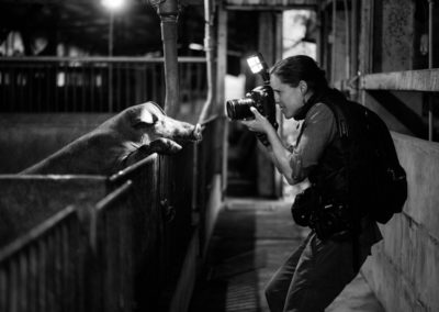 We Animals Launches Animal Photojournalism Fellowship