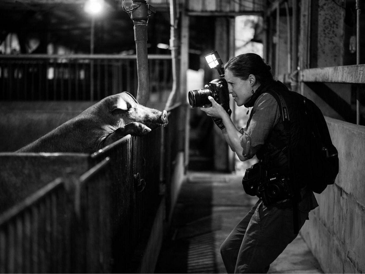 We Animals Founder Jo-Anne McArthur documenting conditions inside a pig farm. Taiwan, 2019. Kelly Guerin / We Animals