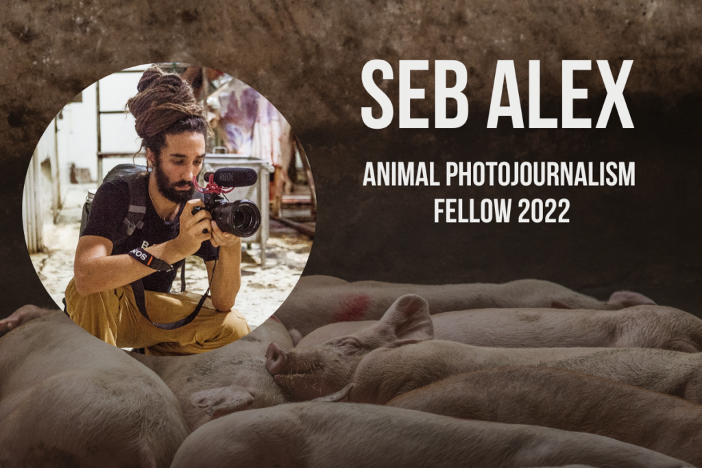 Announcing The 2022 Animal Photojournalism Fellow