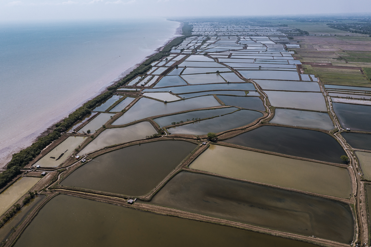 Aerial view of a milkfish hatchery. Indonesia, 2021. Lilly Agustina / Act for Farmed Animals / We Animals