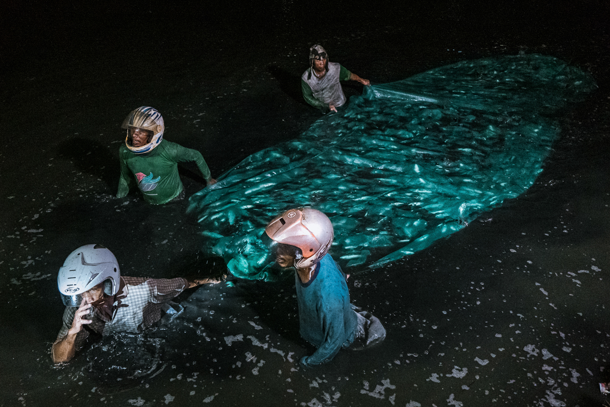 During a nighttime harvest at an Indonesian fish farm, workers wearing protective helmets wade through the water of a fish pond while pulling a mesh harvesting net tightly packed with captured milkfish. Crowding the fish together deprives them of oxygen and they will eventually suffocate. Indonesia, 2021. Lilly Agustina / Act for Farmed Animals / We Animals