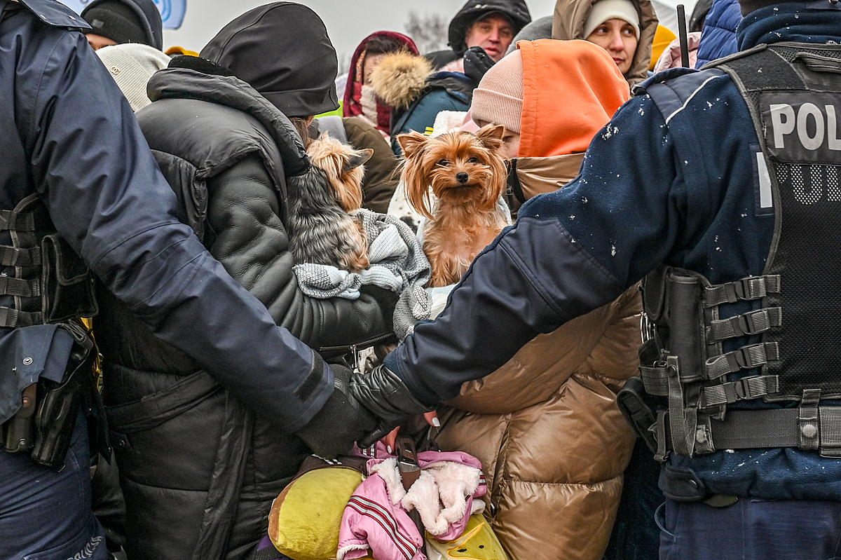 Two small dogs are held tightly by their human guardians at the Ukrainian Polish border in Medyka, Poland. At this border crossing, one of eight in Poland, the crowd is made up of mostly women, children and companion animals since men under the age of 60 are not allowed to leave Ukraine. Poland, 2022. Miloš Bičanski / We Animals