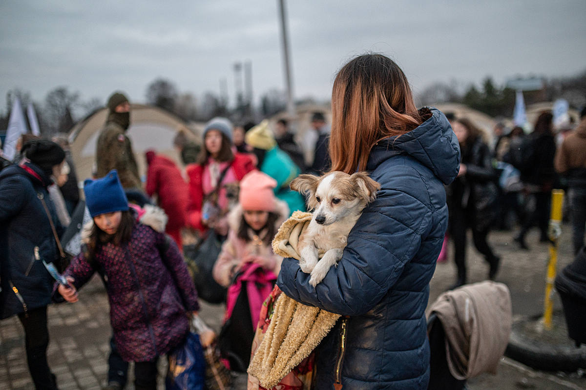 A Ukrainian refugee from Kharkov arrives at the Polish Ukrainian border in Medyka with her three young children and their two dogs. Her husband is in the army and remained behind to defend his country. Poland, 2022. Miloš Bičanski / We Animals