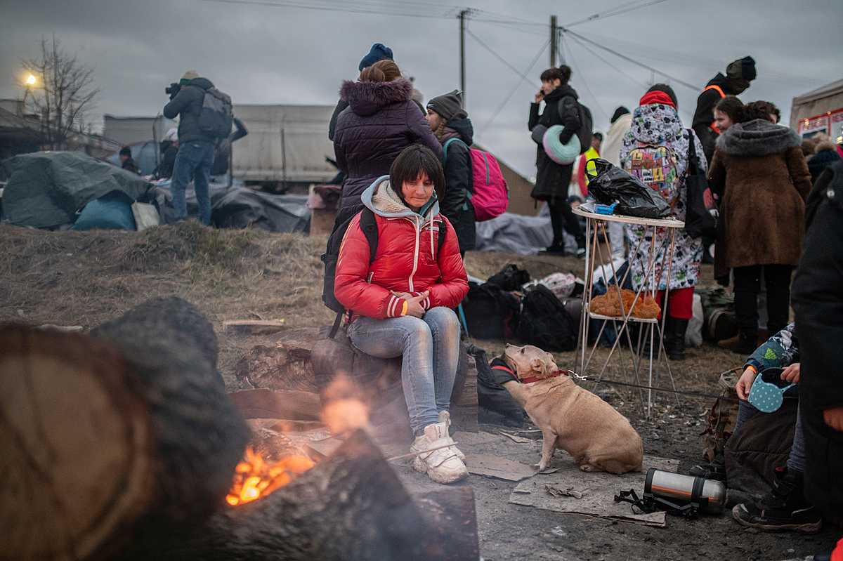Ukrainian refugees, both human and animal, sit around a fire to warm themselves in the Polish border town of Medyka. As thousands of refugees continue to cross the border here each day, volunteers have set up empty petrol barrels to burn wood so that those who are unable to move indoors can get some relief from the cold. Poland, 2022. Miloš Bičanski / We Animals