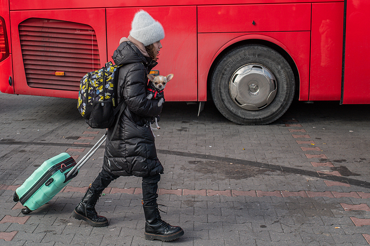 A young Ukrainian woman carries all that she holds dear as she walks through the parking lot of a former shopping mall in Przemysl which has been converted to a temporary refugee shelter. The parking lot is filled with buses and other vehicles that are available to transport Ukrainian refugees throughout the EU. Poland, 2022. Miloš Bičanski / We Animals