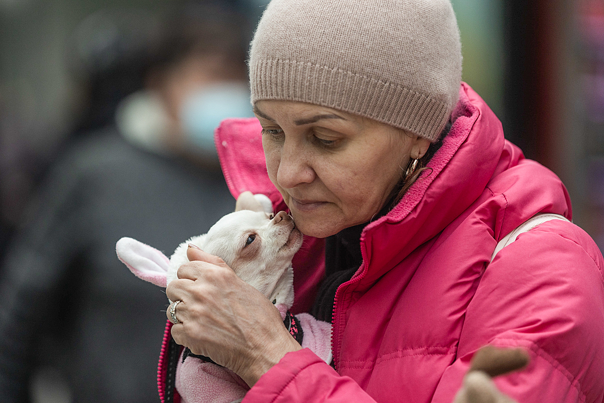 A Ukrainian refugee holds her small dog tightly to her chest as they wait at the Katowice train station. Animal refugees are provided with food and veterinary care, if needed. Poland, 2022. Andrew Skowron / We Animals