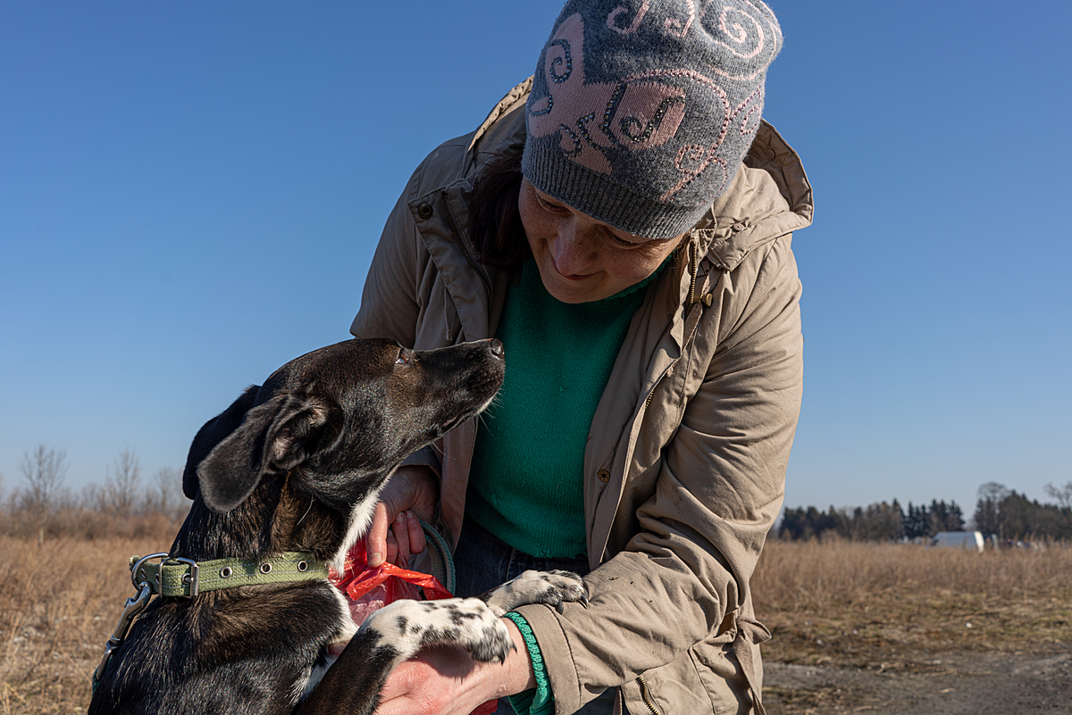 A volunteer plays with a dog during a walk at the Fundacja Centaurus aid camp in Medyka, Poland. Poland, 2022. Thomas Machowicz / We Animals
