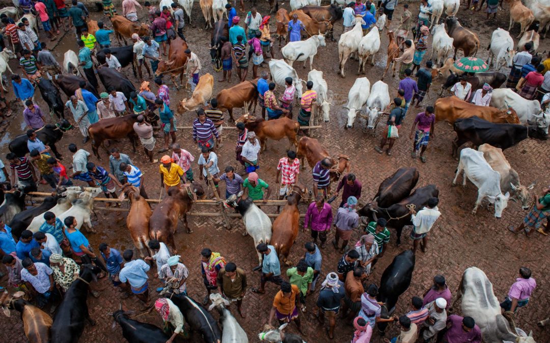 In Photos: The Leather Industry with Christian Faesecke