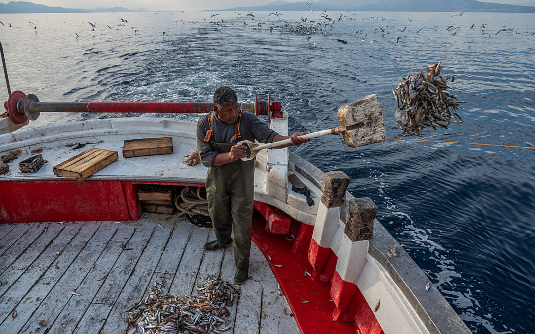 Our Top 10 Images For World Ocean’s Day