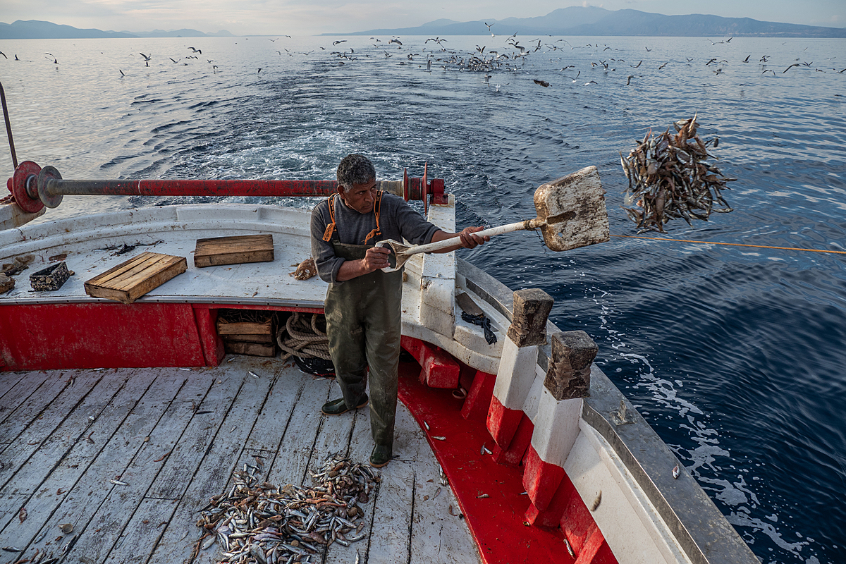 After suffocating on the deck during the sorting process, a worker onboard the fishing boat Fasilis, shovels by-catch back into the sea. Greece, 2020. Selene Magnolia / We Animals