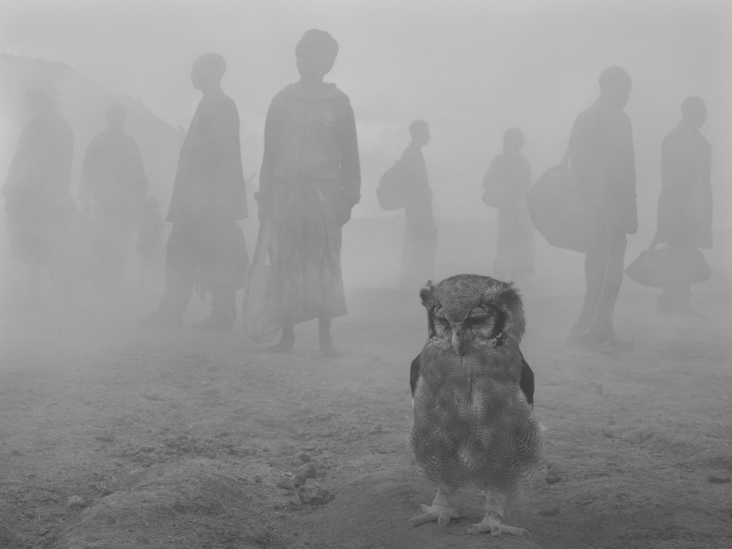 Harriet and People in Fog, Zimbabwe, 2020. © Nick Brandt