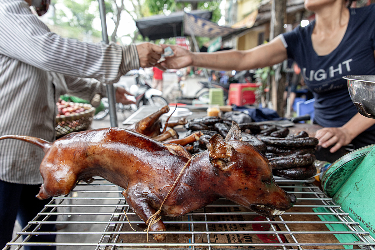 Cooked whole dogs and sausage made from dog meat are displayed for sale outdoors at a store on Gam Cau Street in Hanoi, Vietnam. The skin of the cooked dogs has been seared by fire to remove the dog's hair and preserve the carcasses before they are sold as meat. In the background, a man hands the dog meat vendor payment for a purchase they've just made. Vietnam, 2022.Aaron Gekoski / Asia for Animals Coalition / We Animals