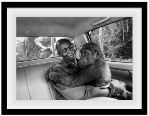 Pikin and Appolinaire. Jo-Anne McArthur / We Animals