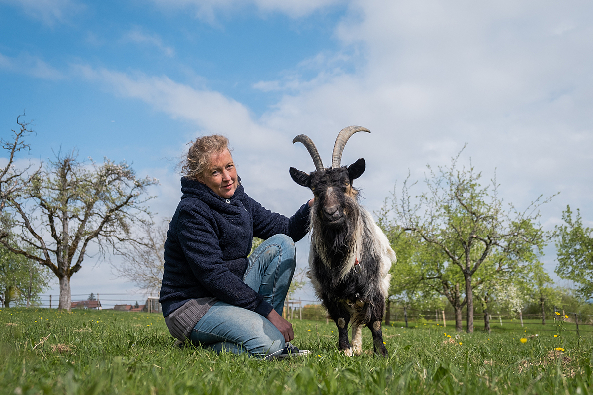 Sarah Heiligtag sits in the pasture between blossoming apple trees with rescued goat, Julia, at Lebenshof Hof Narr in Hinteregg, Switzerland. Eighteen-year-old Julia is one of eight goats and also one of the oldest rescued animals at Hof Narr, which is Sarah's animal sanctuary. Hof Narr, Hinteregg, Zurich, Switzerland, 2022. Sabina Diethelm / We Animals