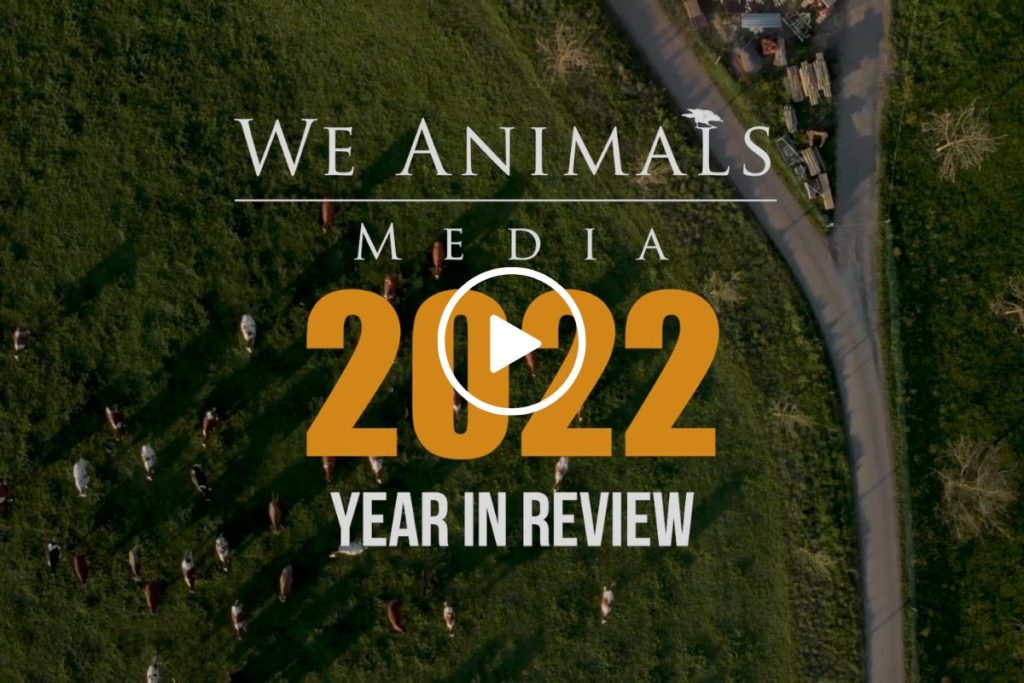 We Animals: 2022 Year in Review