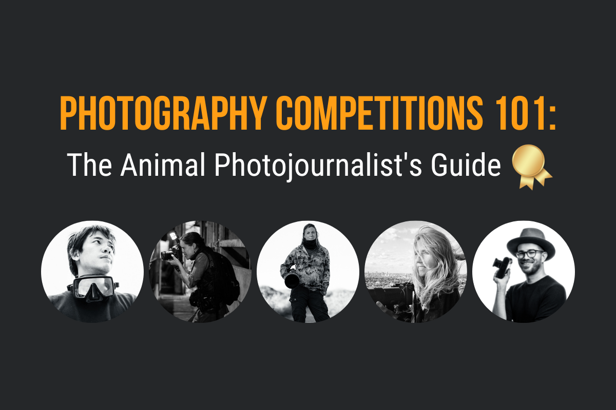 Photo Awards Blog Resource