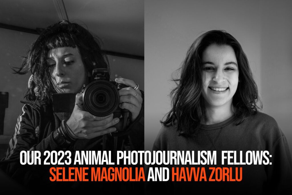 Announcing Our 2023 Animal Photojournalism Fellows