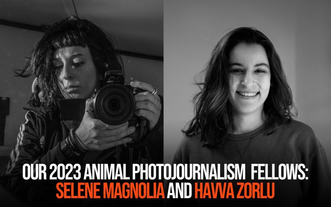 Announcing Our 2023 Animal Photojournalism Fellows