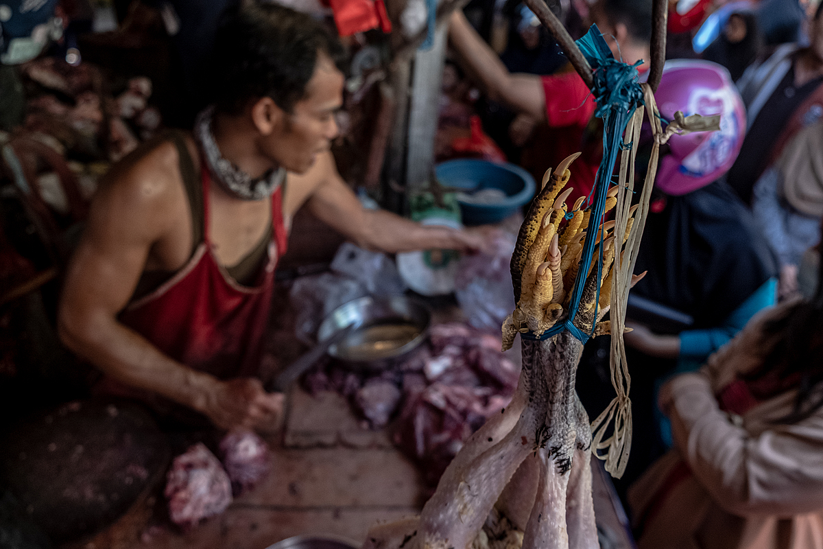 At a busy Indonesian market in the days before the Eid al-Fitr holiday, dead chickens hang above a seller's counter as the seller cuts up animal body parts and interacts with shoppers in the background. As Eid al-Fitr nears, customer demand for chicken meat markedly increases preceding the holiday celebrations. Pagi Market, Pangkalpinang, Bangka Belitung, Indonesia, 2023. Resha Juhari / We Animals