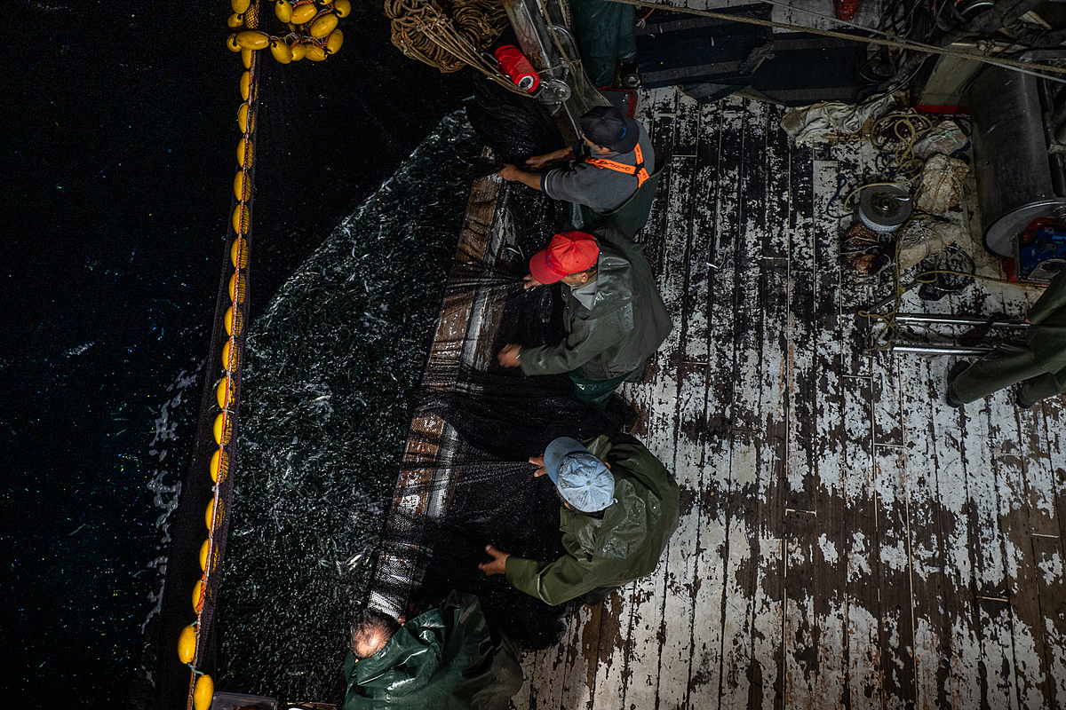 Deck crew pulls nets filled with sardines onboard the purse seine fishing boat Pandelis II. Greece, 2020. Selene Magnolia / We Animals