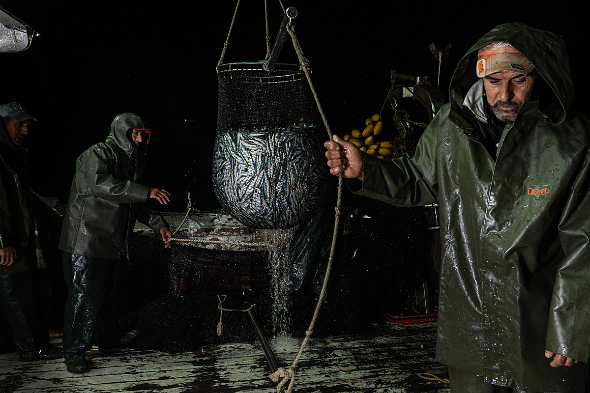 Deck crew collects sardines onboard the purse seine fishing boat Pandelis II. Greece, 2020. Selene Magnolia / We Animals