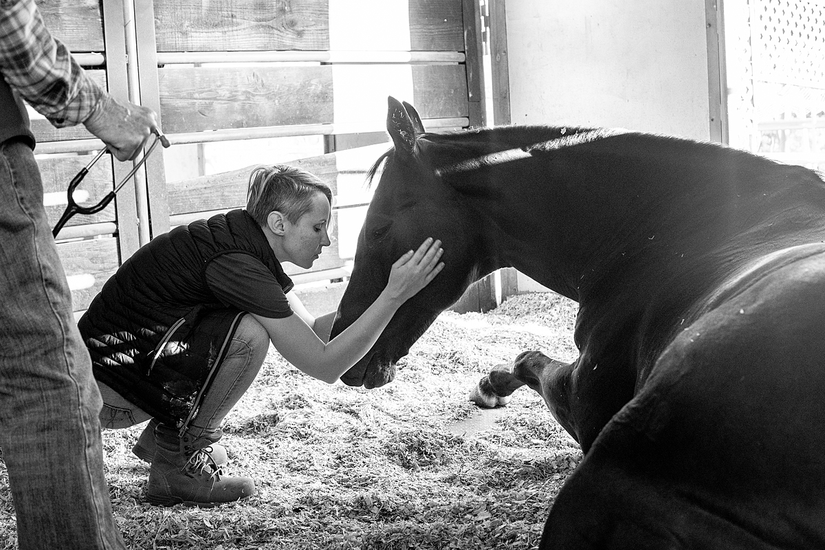A barn manager comforts Lakota, a rescued Thoroughbred horse at Saffyre Sanctuary. Lakota has fallen ill that evening and rests inside his stall at the sanctuary. Shadow Hills, California, USA, 2022. Alexis Liohn / Saffyre Sanctuary Inc. / We Animals