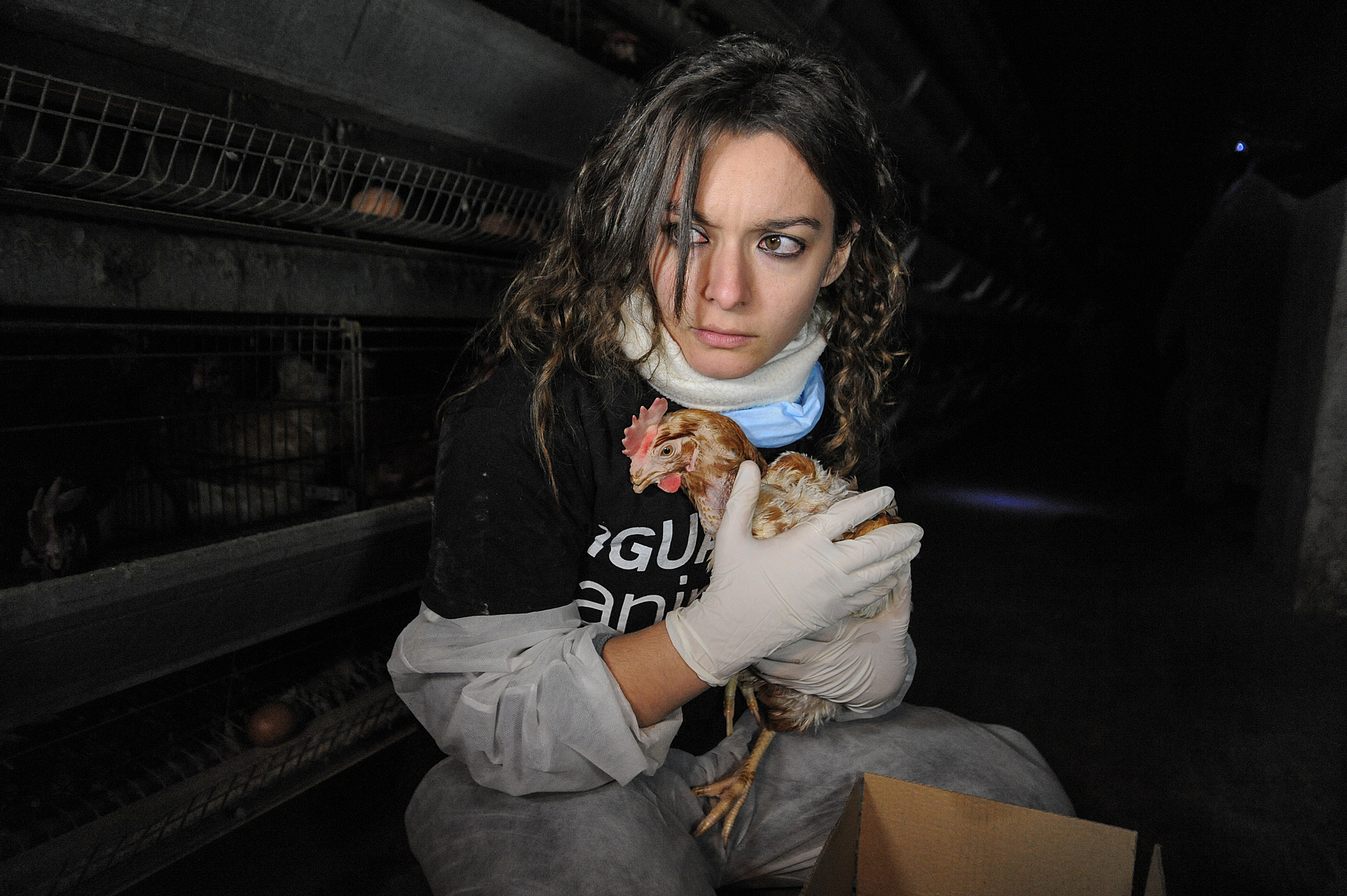 At a Spanish egg production facility, Animal Equality activist Maria Gonzalez Sola holds a hen being rescued from one of the facility's battery cages. Spain, 2011. Jo-Anne McArthur / Lauren Veerslaat / We Animals