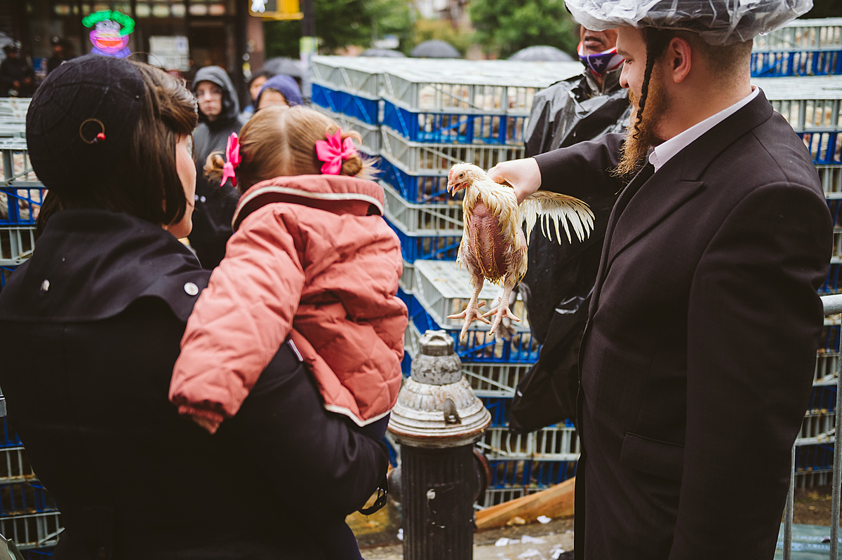 A Kaporos practitioner holds up a squawking chicken as a mother and child look on. The birds are used in an annual atonement ritual in Hasidic Jewish communities, where practitioners swing the birds over their heads three times, and then the animals are slaughtered. The entire family participates, including young children and babies. Williamsburg, Brooklyn, New York, USA, 2022. Victoria de Martigny / We Animals