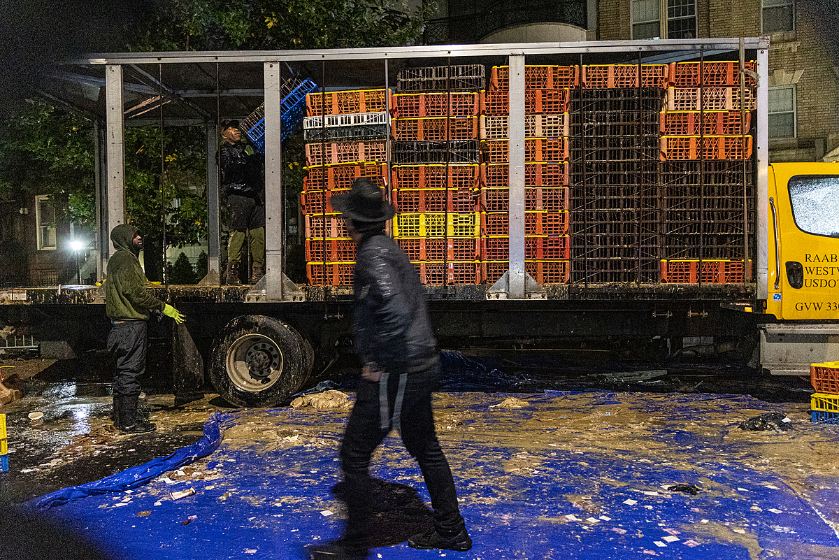 A Hasidic Jewish man walks by as workers load chicken transport crates onto a truck. On this Brooklyn public street, bodies of dead chickens brought to the site for Kaporos religious rituals lie near the truck's wheels amid deteriorated cardboard boxes, feces, and other debris. Crown Heights, Brooklyn, New York, USA, 2022. Molly Condit / We Animals