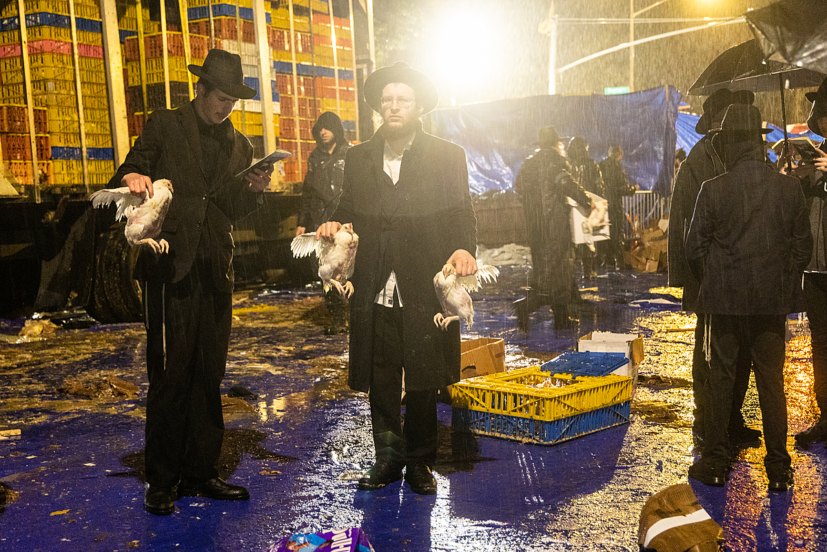 Two Hasidic Jewish men hold chickens and prepare to perform Kaporos. Kaporos is a religious ritual of atonement where a practitioner swings a chicken by the wings over their head as they recite the prayer. Participants believe this transfers their sins to the chicken, and afterward, the chicken is sent to slaughter. Transport trucks filled with empty crates stand parked and ready to take back unused chickens to factory farms, which is where the chickens used in the rituals originate from. Atop the pavement, rain has deteriorated cardboard boxes which lie on the ground mixed with chicken feces and other debris, upon which the people stand and walk about. Crown Heights, Brooklyn, New York, USA, 2022. Molly Condit / We Animals